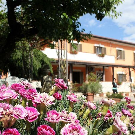 B&B Casale Shanti Piedimonte San Germano Eksteriør billede